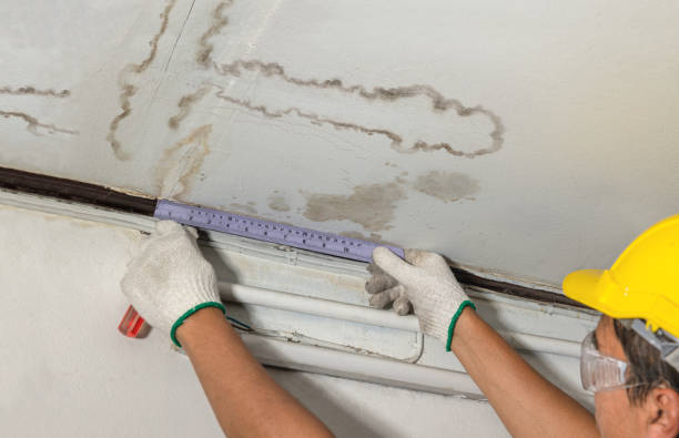 Reliable Mold Remediation contractor in Marshfield, MA by Local Water Damage Repair